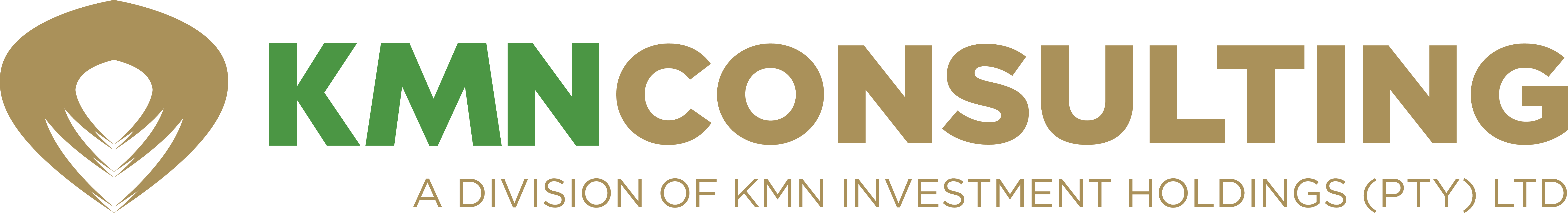 KMN Consulting
